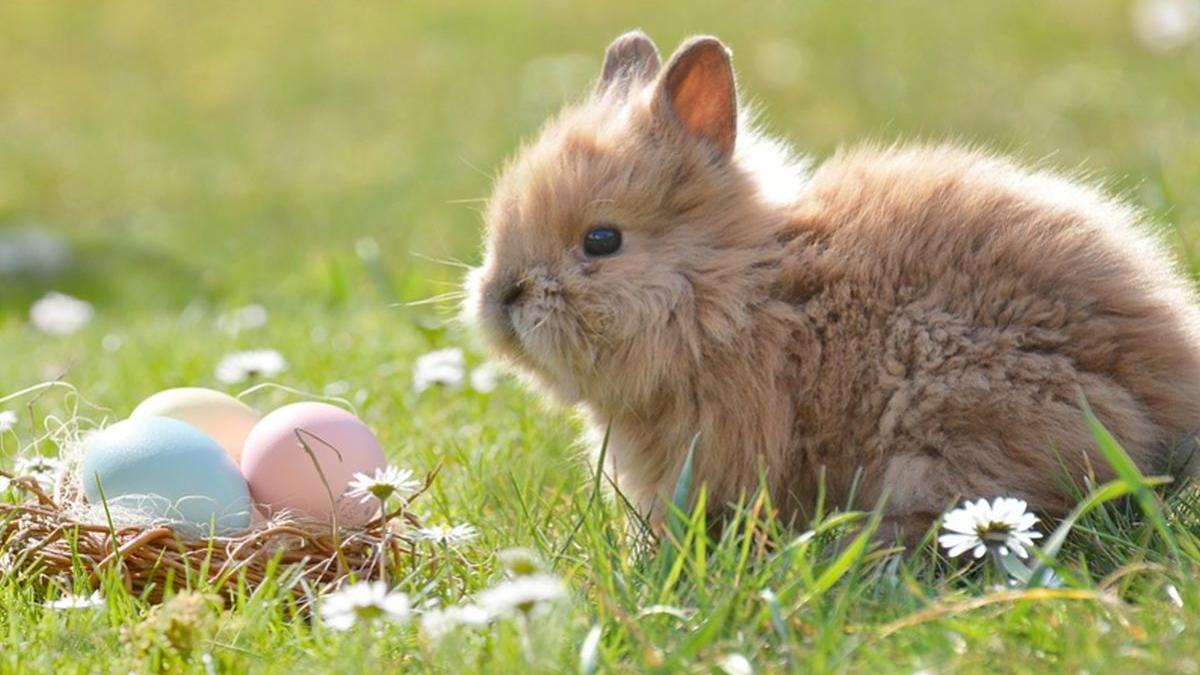 saptamana patimilor ce se face in vinerea mare pentru a avea sanatate si noroc