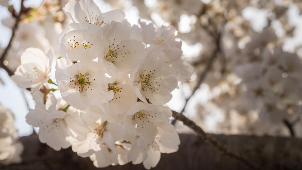 vremea de paste si 1 mai prognoza noua de la meteorologi