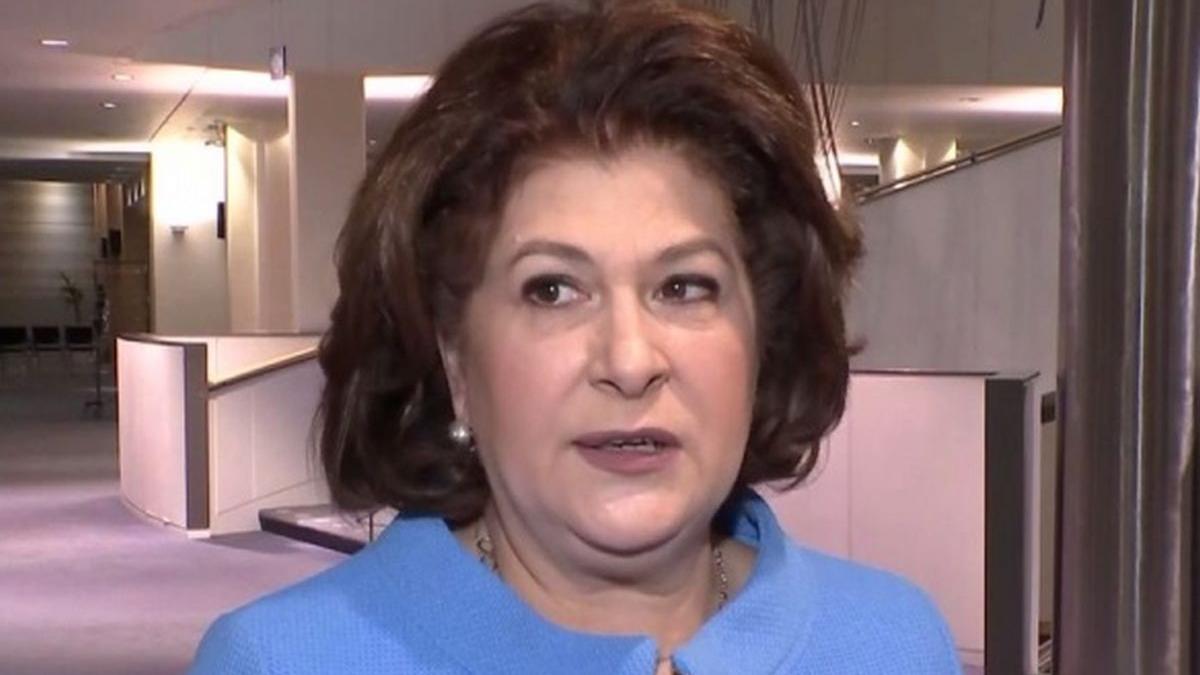 rovana plumb ministrul fondurilor europene da vestea cea mare au fost deschise linii de finantare