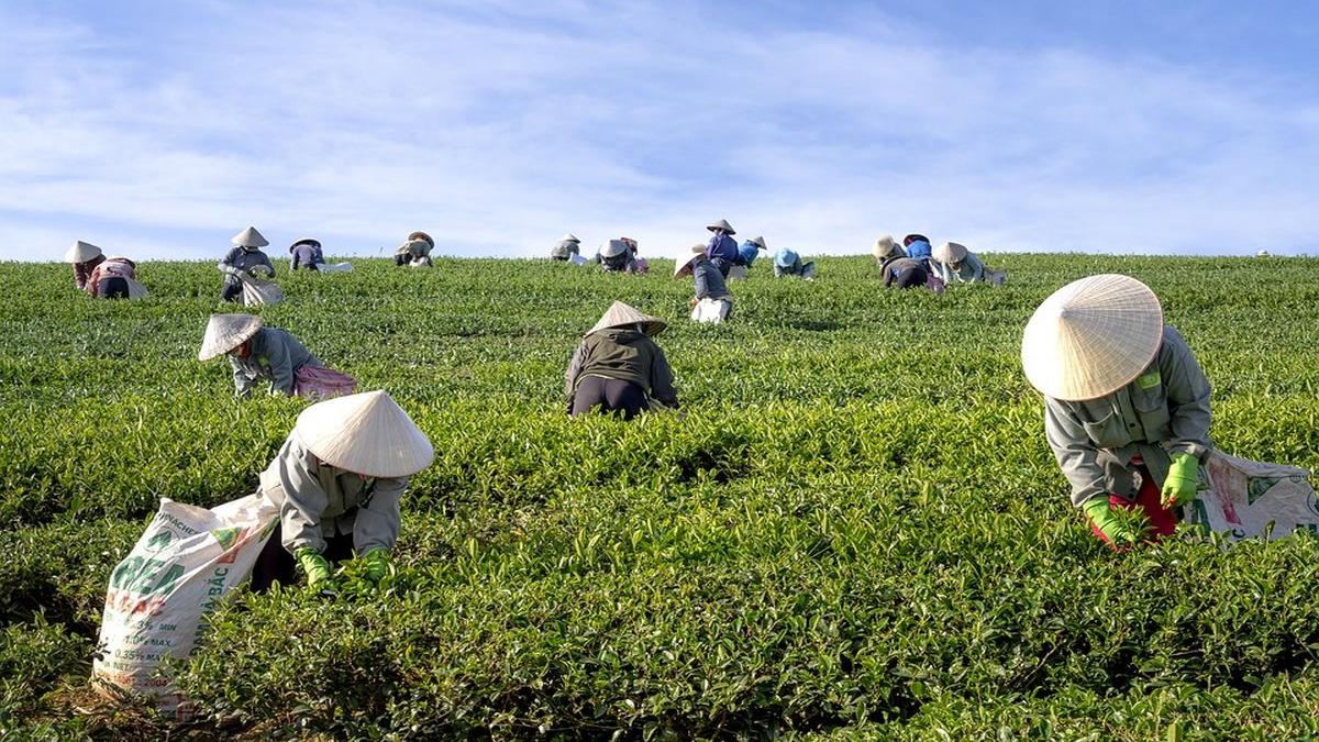 be eu informatii importante pentru agricultori prima de instalare pentru tinerii fermieri 100 000