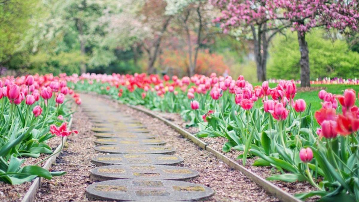 vremea prognoza meteo din batrani pentru luna mai