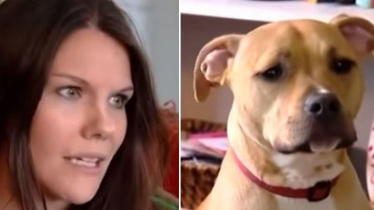 cainele familiei a inceput sa latre disperat in miezul noptii asa ca mama s a dus de urgenta sa