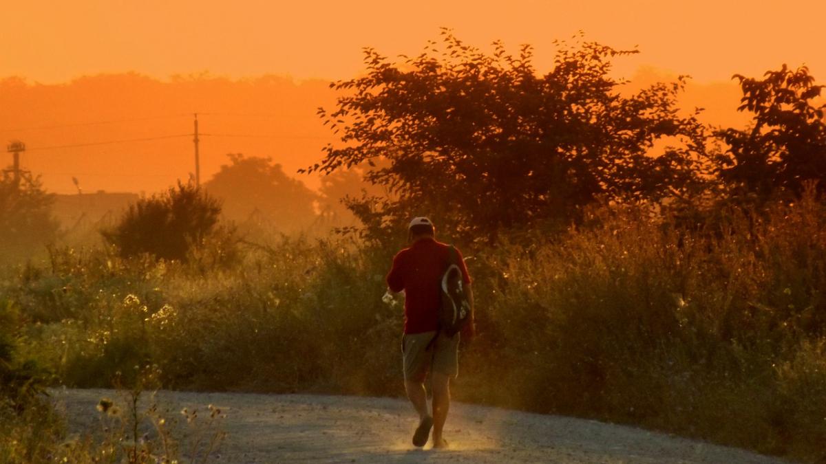 eugen e din mehedinti si s a dus in piata sa vanda miei castigase undeva la 6 000 de lei si plecase