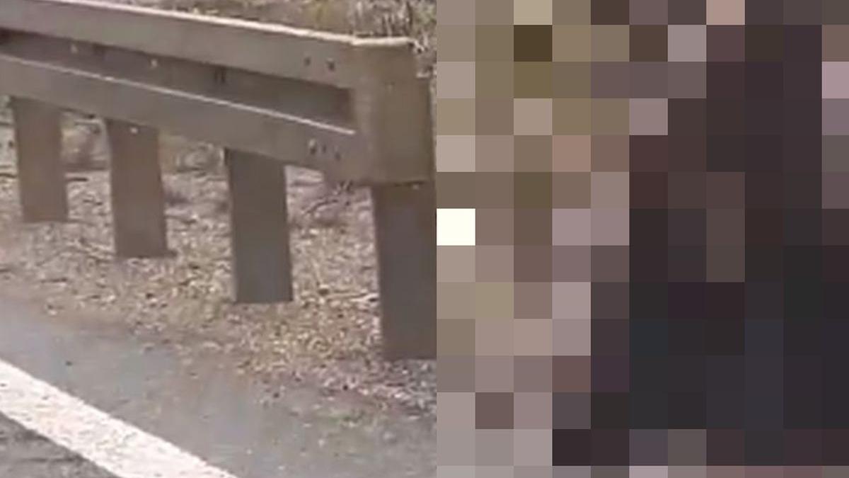 aparitie socanta pe dn 2d soferul a crezut ca nu vede bine a scos imediat telefonul si a filmat