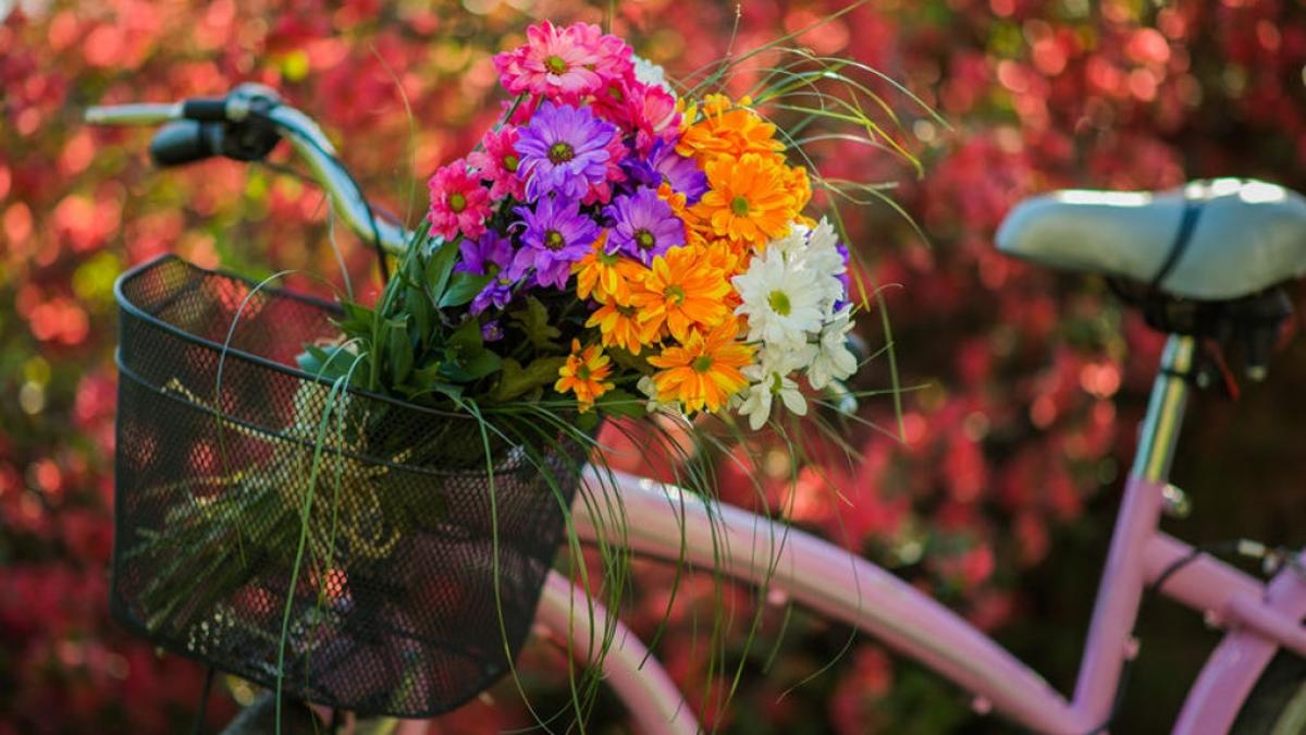 horoscop mai 2019 zodiile care vor avea o luna de poveste