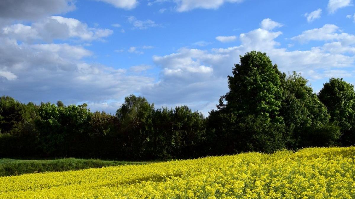 vremea se schimba radical prognoza meteo pentru weekend