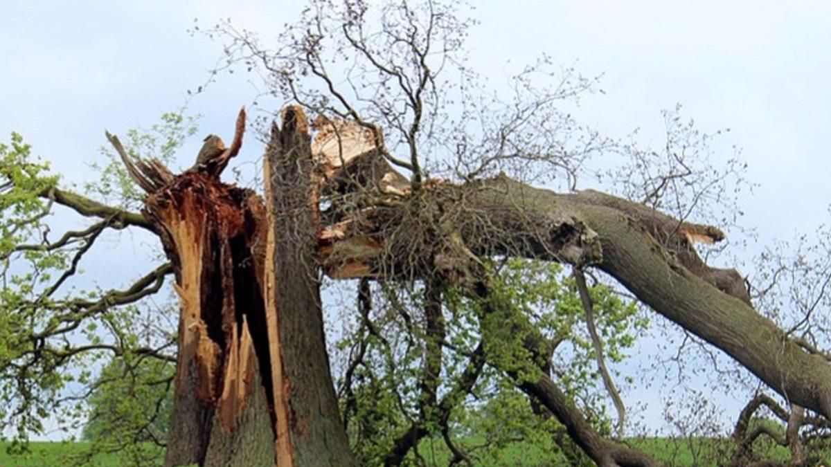 natura s a dezlantuit in india peste un milion de oameni au fost evacuati din calea unui ciclon