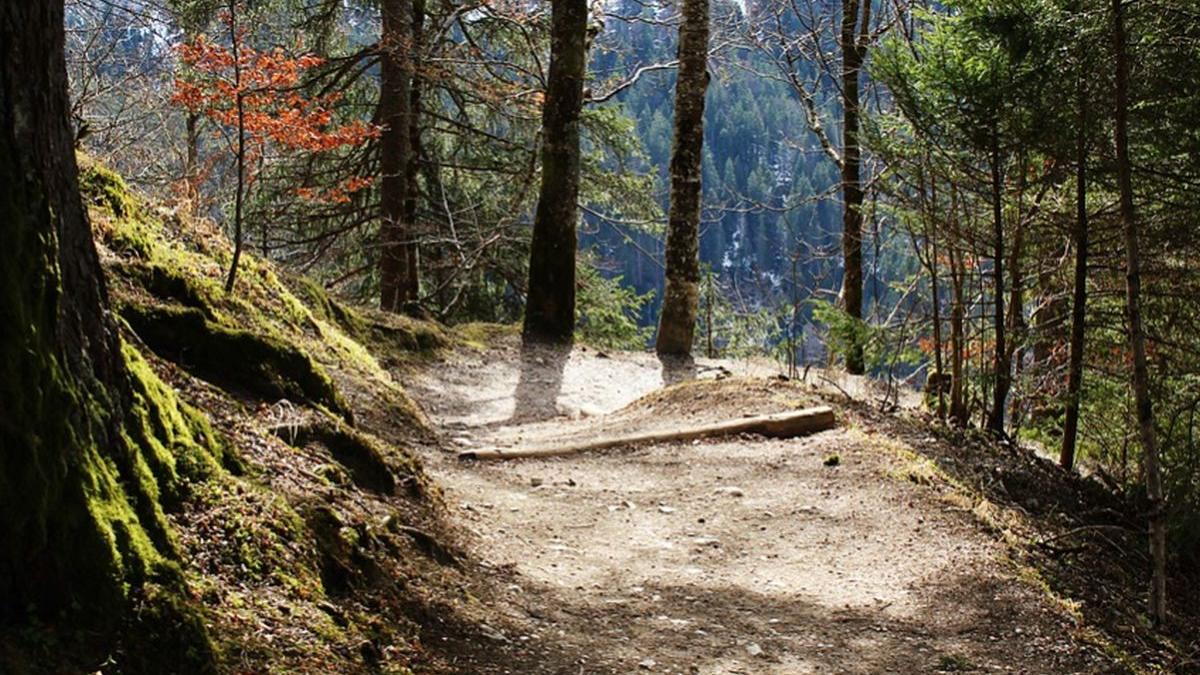 vreme calda vineri cu temperaturi de pana la 27 de grade incepand de duminica temperaturile scad