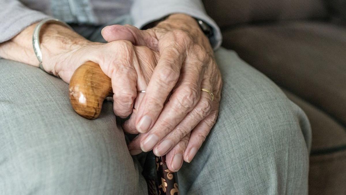 cum a fost gasita o femeie din suceava despre care vecinii credeau ca a murit 17 caini erau pe