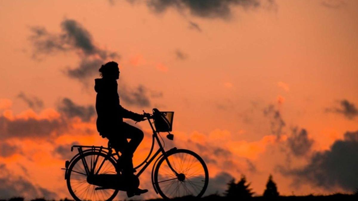 21 de strazi din bucuresti vor avea piste de biciclete investitie de 44 5 milioane de lei