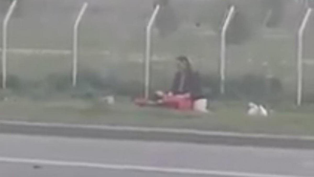 soferii care circulau pe un bulevard din braila au avut parte de scene de neimaginat faceau