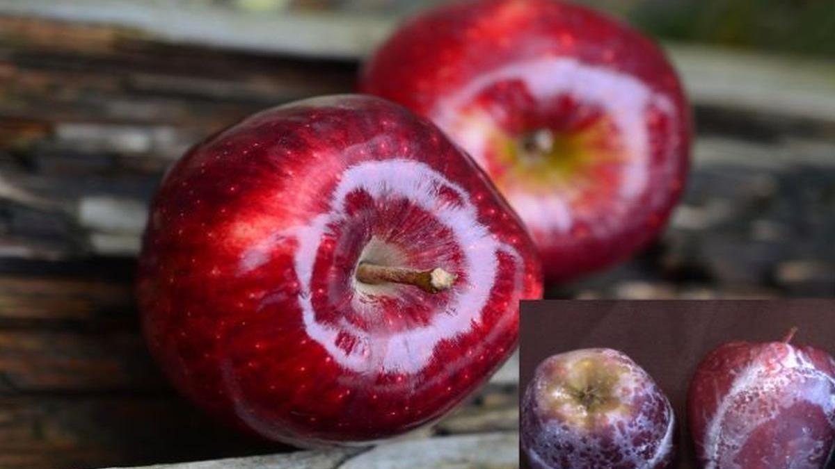 de ce sunt merele lucioase testul simplu prin care afli daca mananci mere lustruite cu ceara video