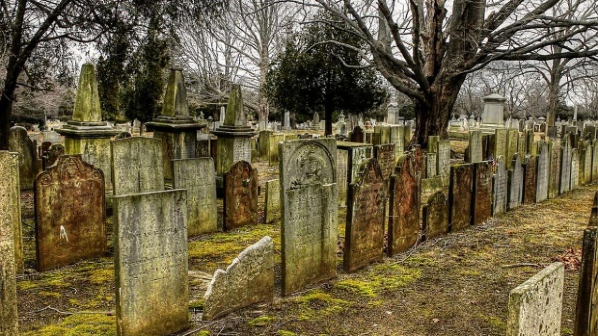 ei sunt elevii care au devastat cimitirul evreiesc din husi scandalul e urias