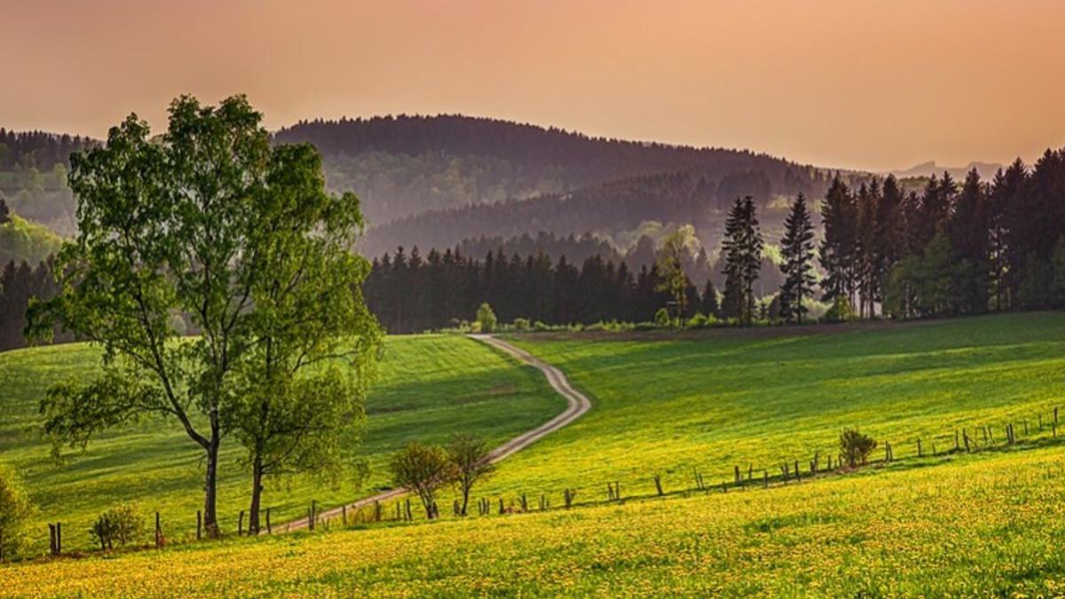 vremea va continua sa se incalzeasca prognoza meteo pana duminica