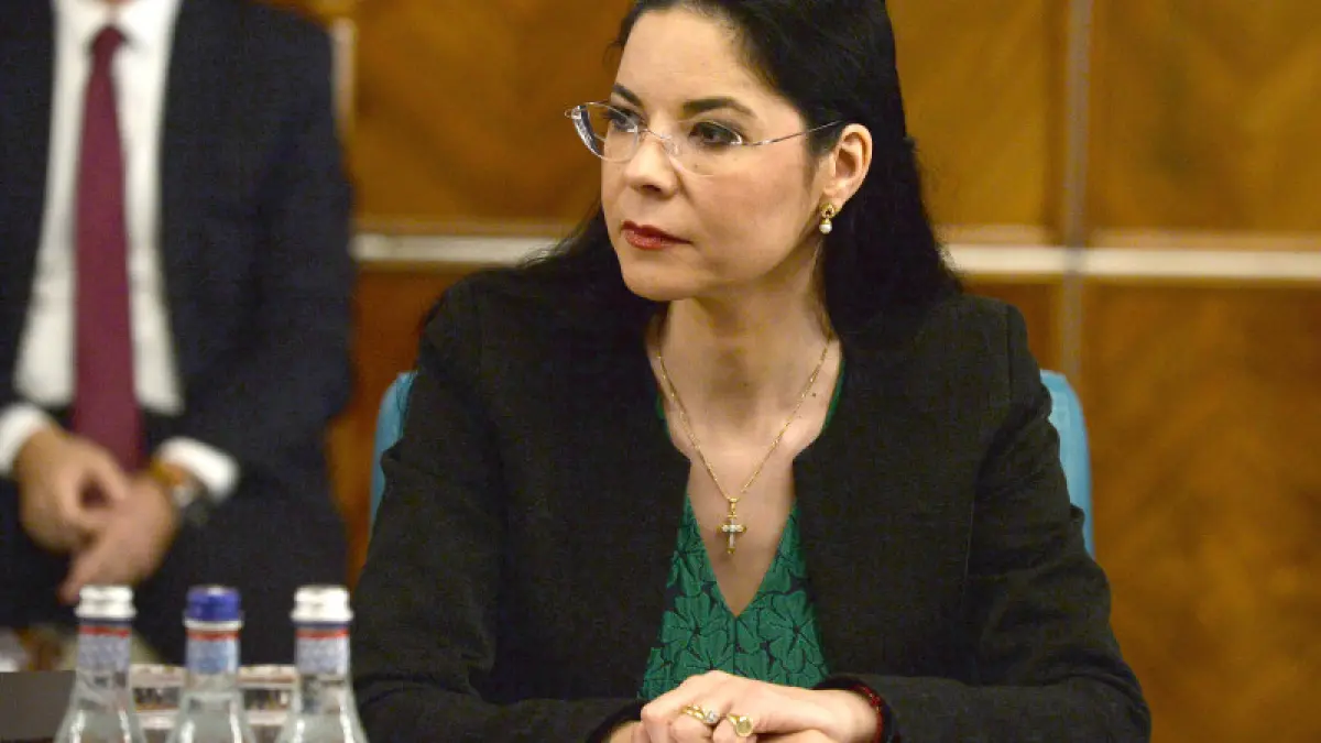 ana birchall ministrul interimar al justitiei incepem procedurile pentru extradarea lui radu mazare
