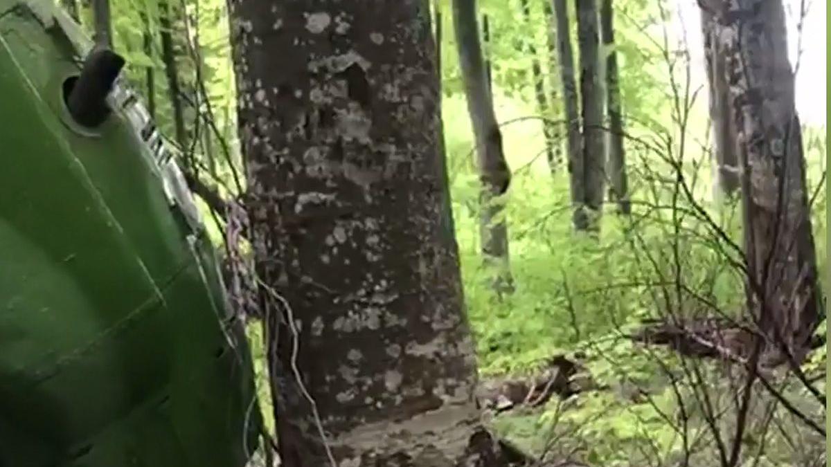 descoperire socanta intr o padure din romania un cioban a alertat autoritatile cand a vazut