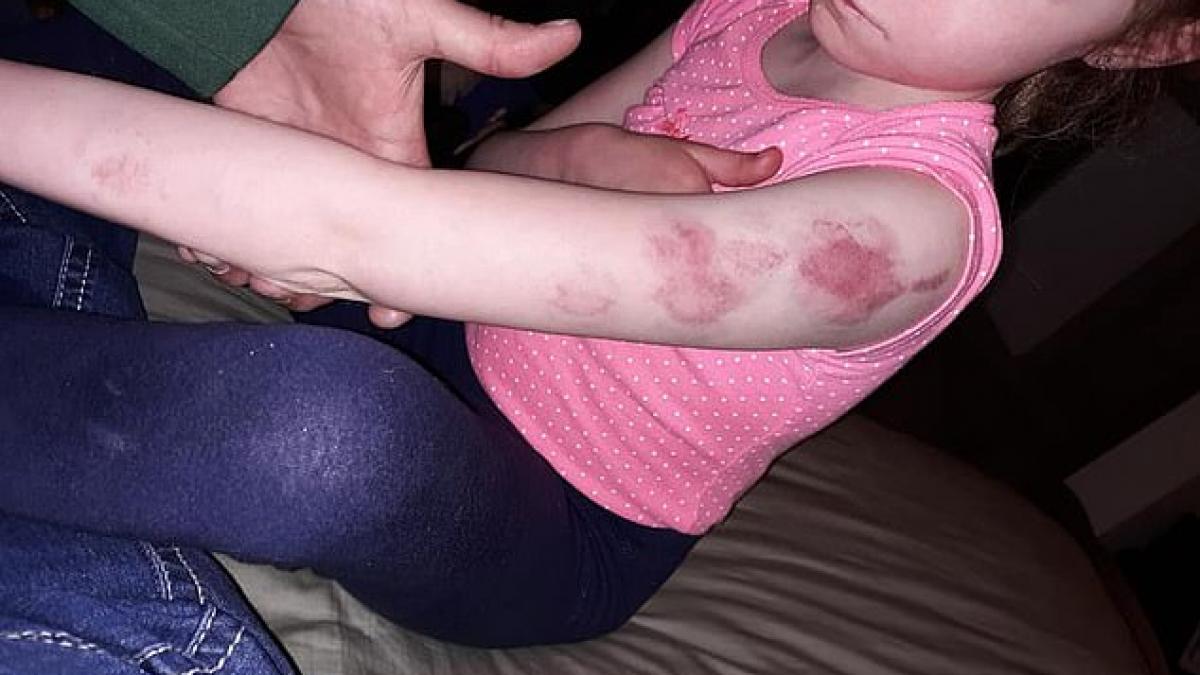 fetita lor muta a trait clipe de groaza intr un autobuz scolar parintii sunt socati ca nimeni nu a