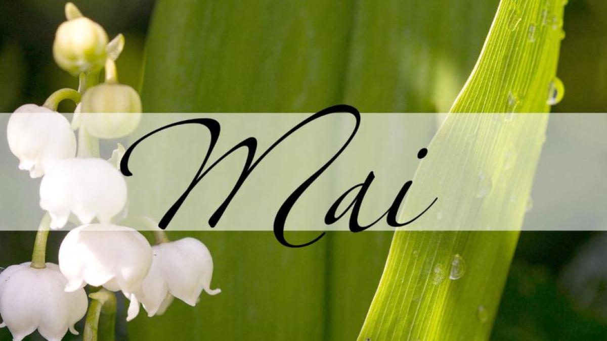 horoscop ce schimbari majore vor fi in luna mai pentru toate zodiile