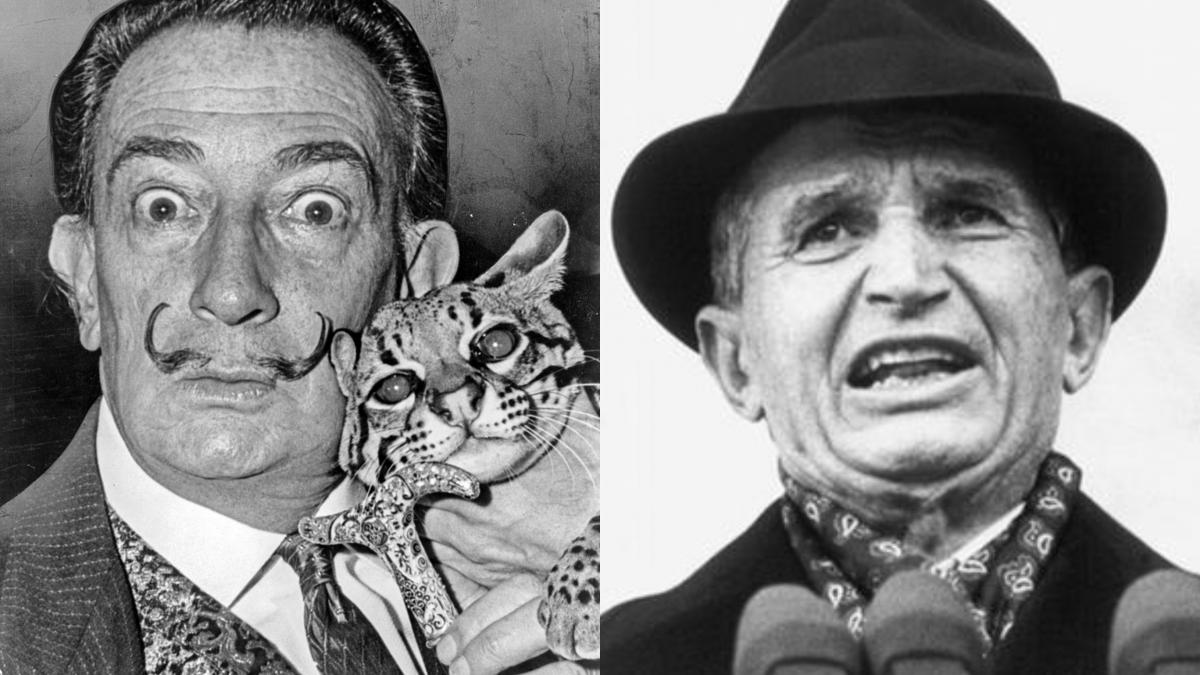 cum l a luat la misto salvador dali pe nicolae ceausescu dictatorul nu a inteles ironia si s a