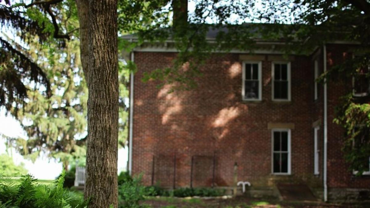 descoperirea socanta facuta de o tanara in curtea casei nu am mai vazut vreodata asa ceva foto