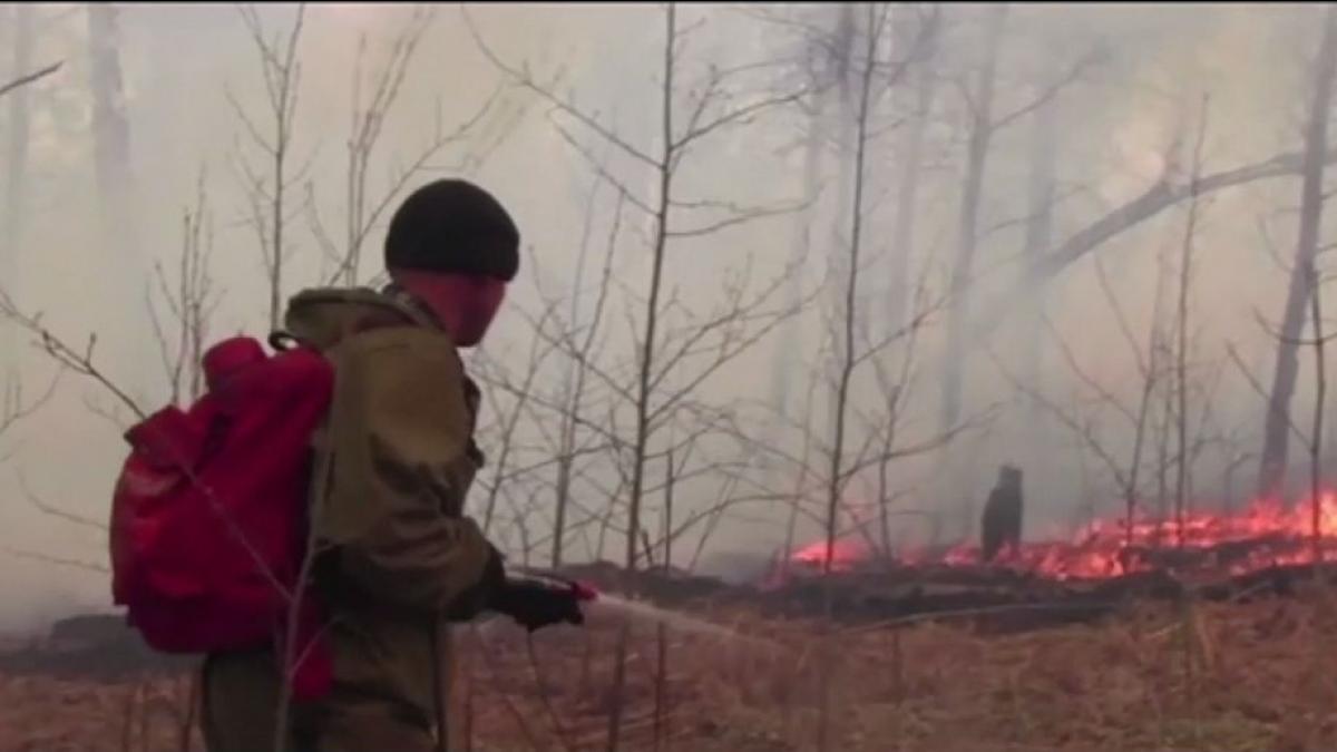 incendiile de vegetatie continua sa faca ravagii in siberia cel putin 45 000 de hectare de teren au