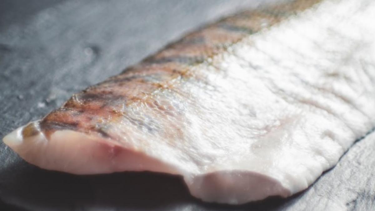 top 5 cei mai contaminati pesti cu mercur care se vand in romania