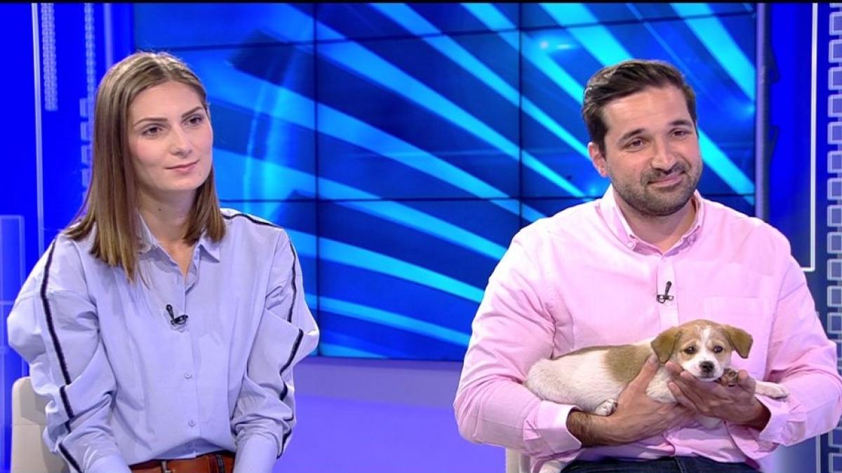 eroii zilei au salvat din smoala opt pui de caine cum puteti sa adoptati catelusi de la distanta