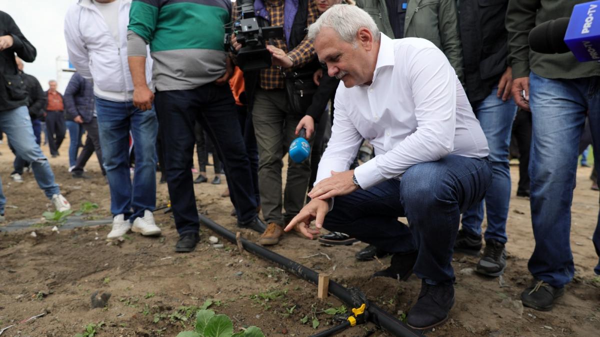 psd promite facilitati bancare substantiale pentru agricultorii care isi fac solarii