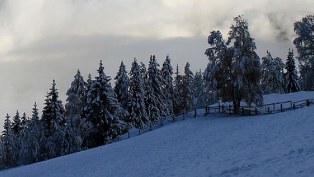 o turista a murit in timp ce se afla pe masivul piatra secuiului dupa ce i s a facut rau