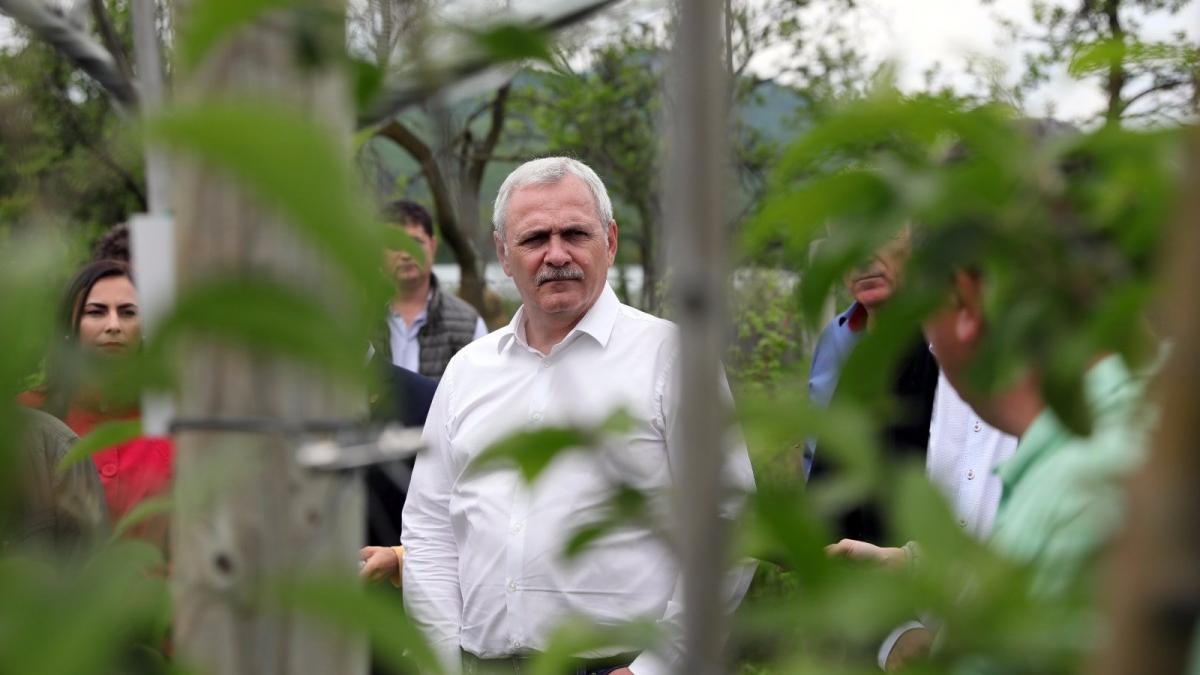 liviu dragnea promite cresterea subventiei pentru kilogramul de lana de oaie