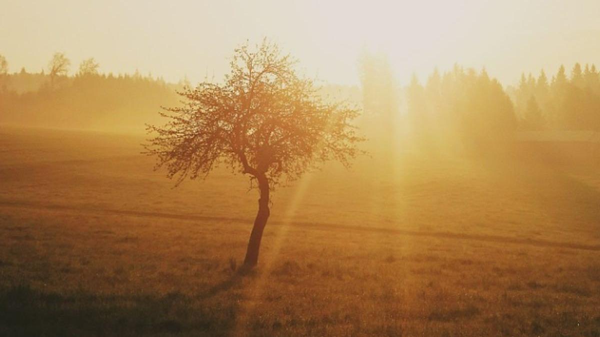 vremea va deveni calda in majoritatea regiunilor prognoza meteo