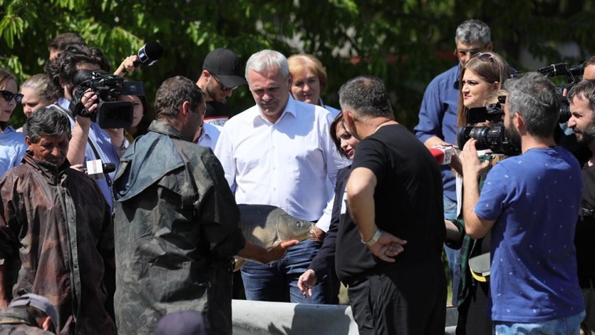 pronuntarea in procesul lui liviu dragnea pe 27 mai dna a cerut majorarea pedepsei avocatii vor