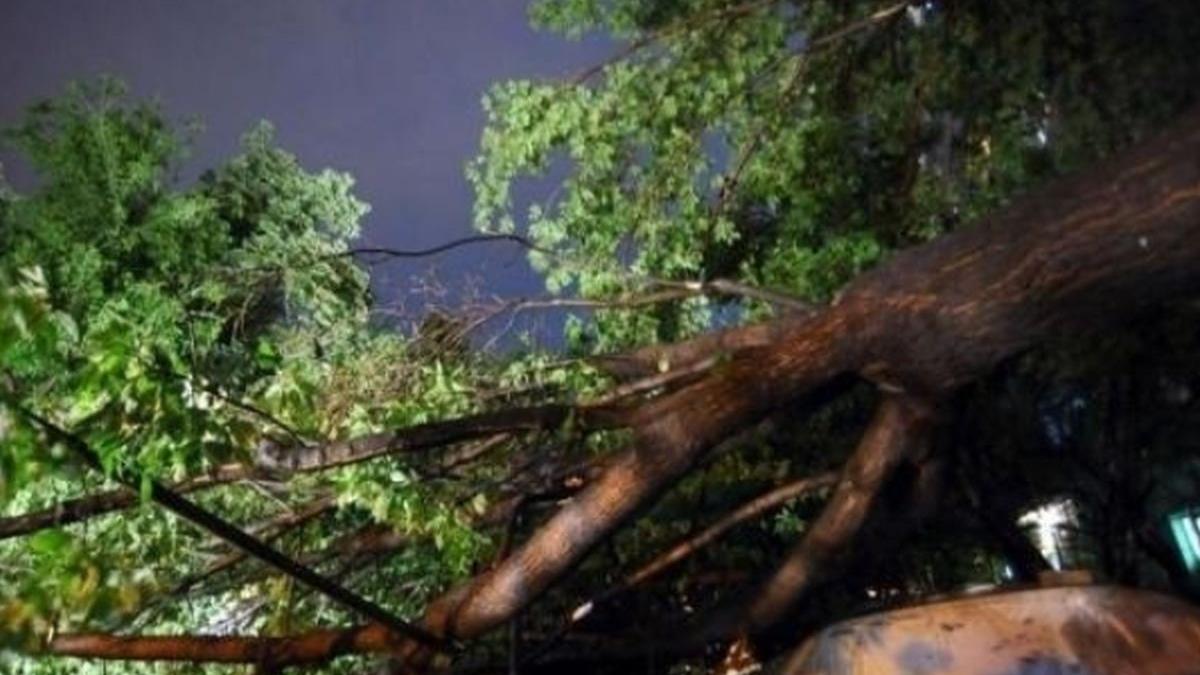 vremea extrema a facut prapad in vestul romaniei vantul a rupt copaci si a smuls acoperisuri