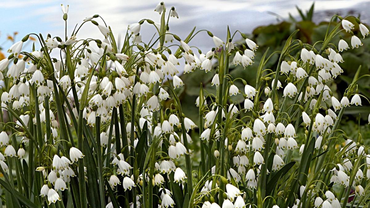 mesaje de sf constantin si elena cele mai nostime mesaje sms uri si felicitari pe care le poti