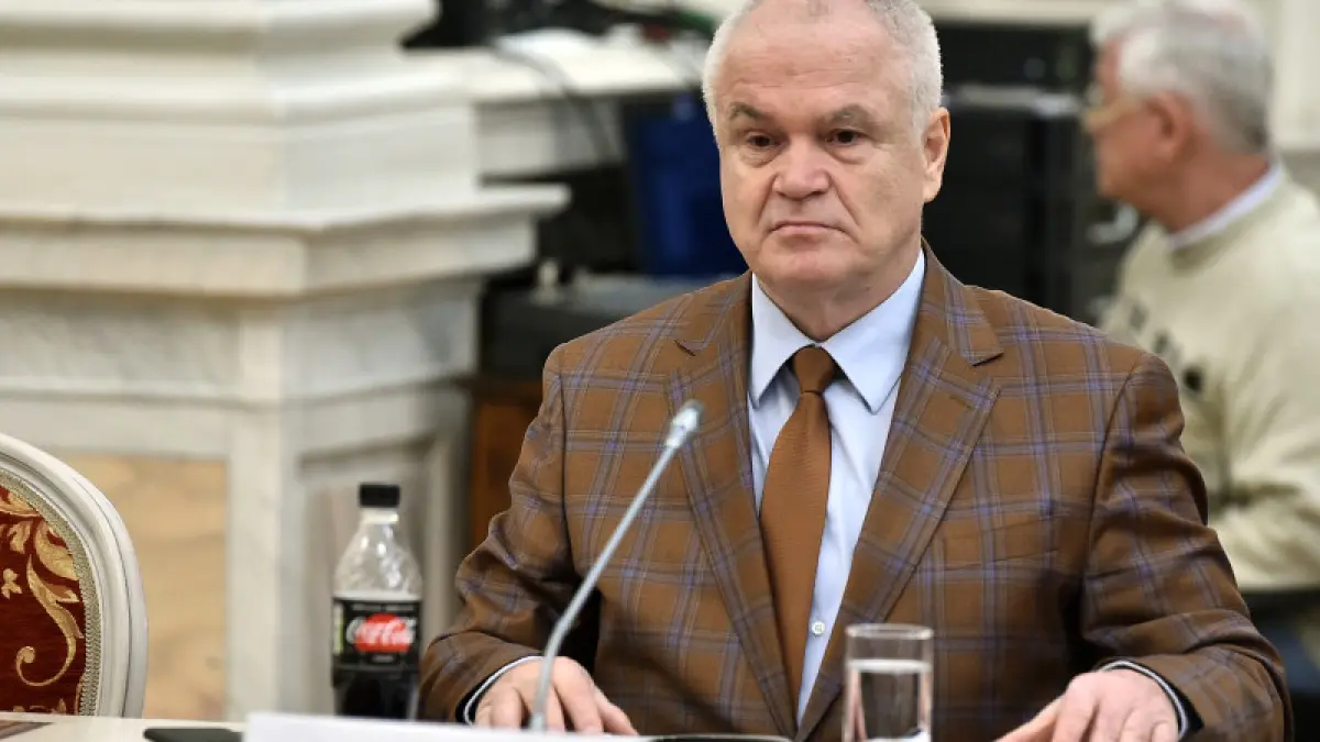 eugen nicolicea despre referendum in psd nu s a luat o decizie in general este o atitudine de