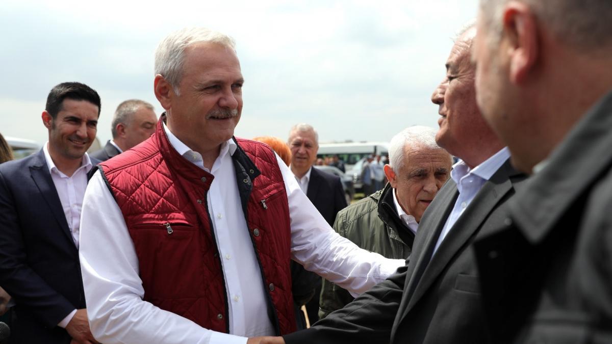 liviu dragnea critici dure pentru anaf cei de acolo merg la multinationale ca pisicutii doar cu