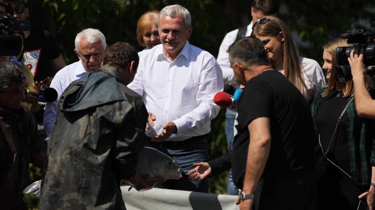 liviu dragnea mai multi parlamentari fugiti la ponta vor sa se intoarca in psd