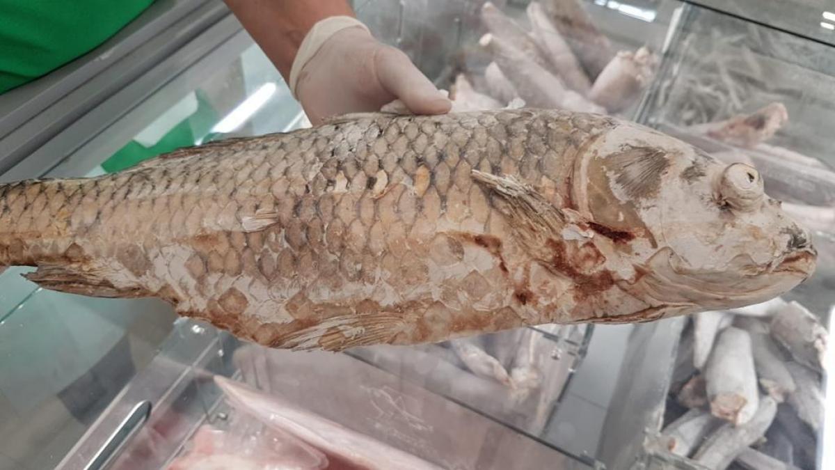 anpc anunt in scandalul pestelui stricat raportul profit versus sanatatea populatiei inclina in