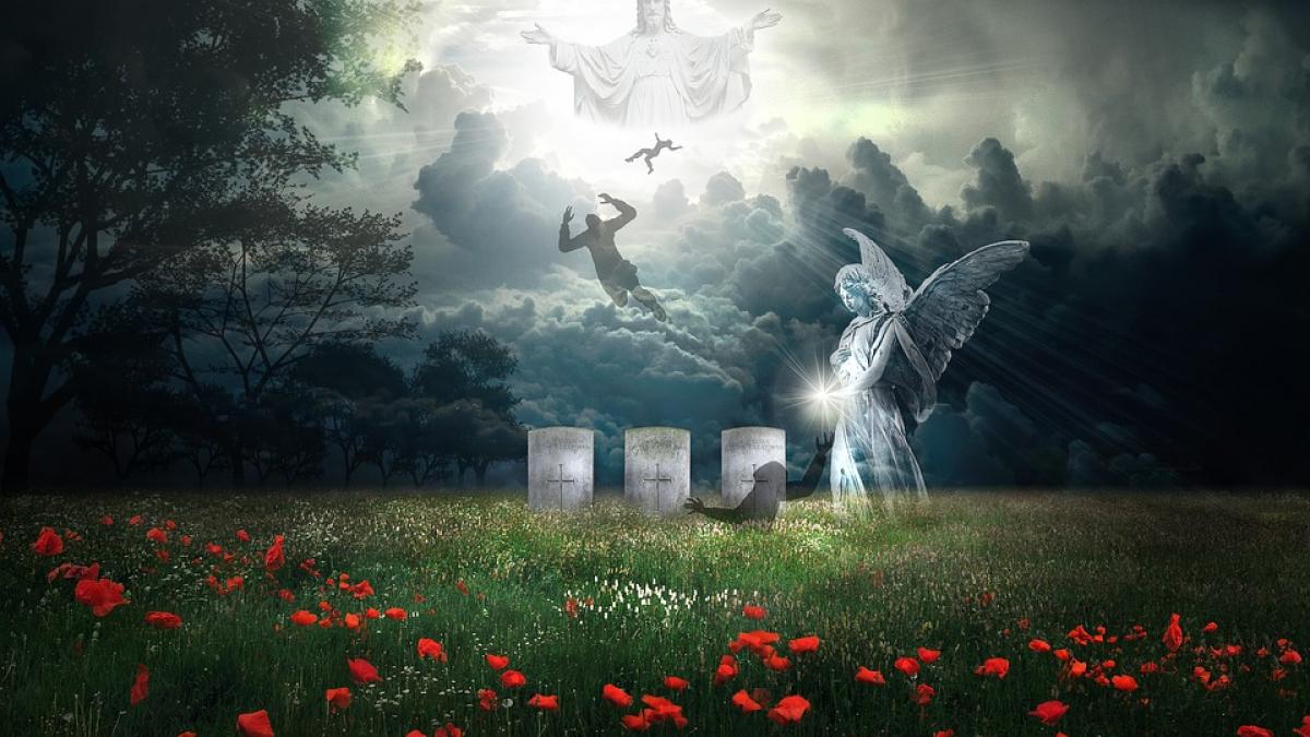 un neurochirurg sustine ca are dovada ca raiul exista