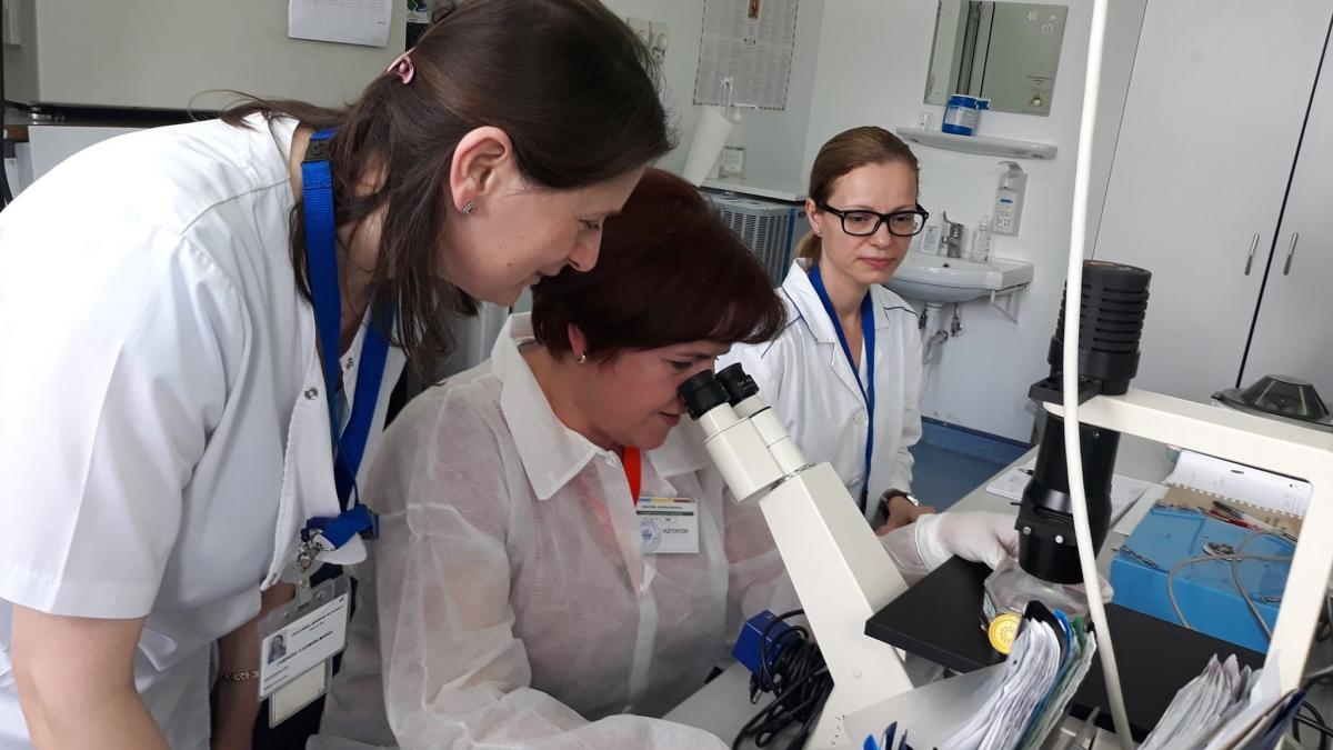 veste uriasa pentru institutul cantacuzino ministerul apararii anunta ca a inceput procedurile