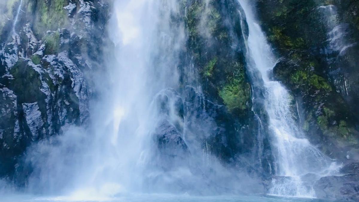 o instructoare de yoga a disparut timp de doua saptamani intr o padure toti o credeau moarta dar s