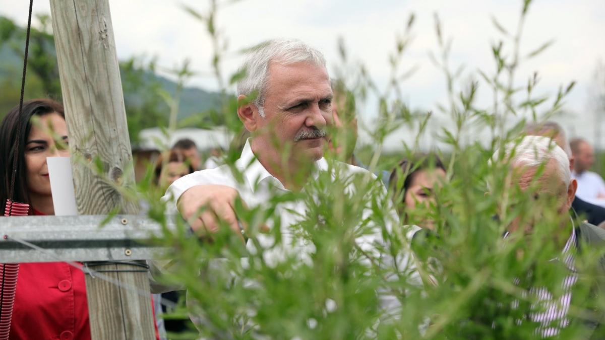 catalin tolontan inca un nevinovat intra la inchisoare liviu dragnea condamnat la 3 ani si 6 luni