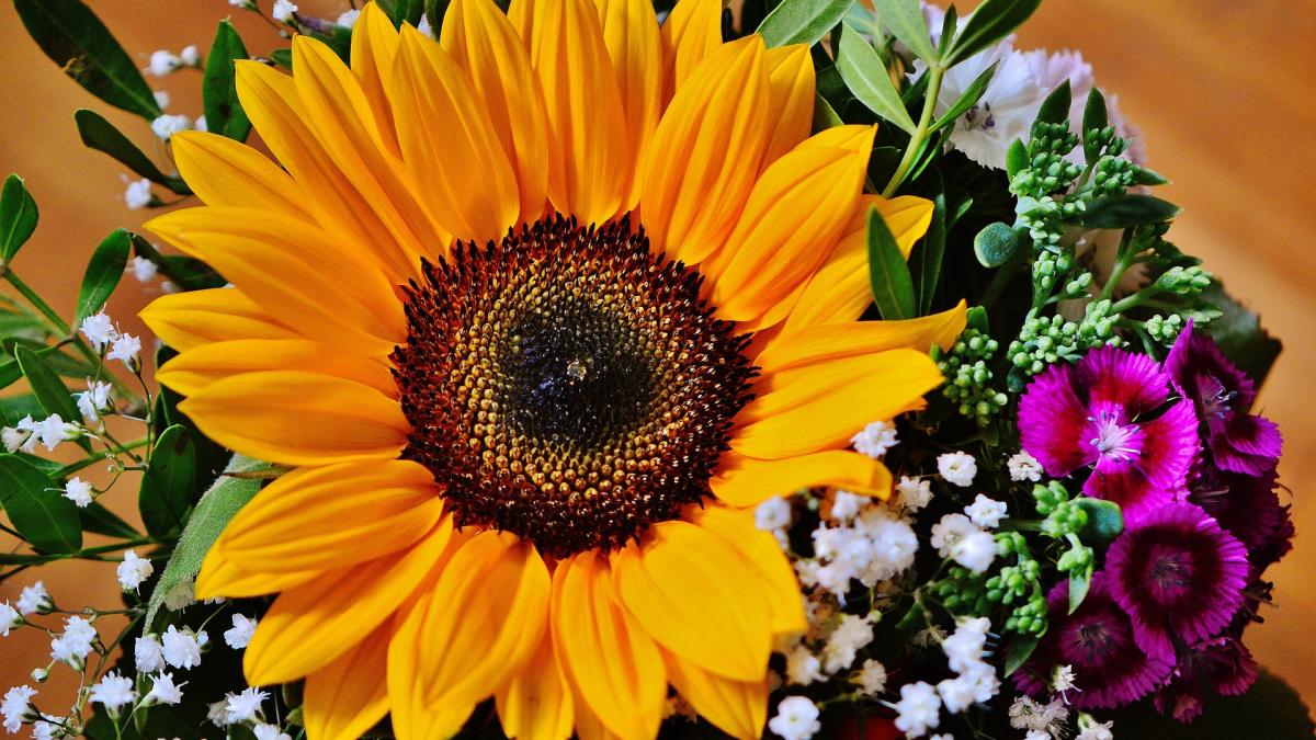 cauti un cadou deosebit o florarie online din bucuresti te invata ce flori sa alegi vara p