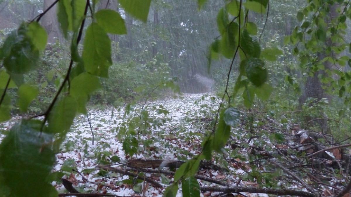 dezastru in judetul salaj dupa o ploaie cu grindina care a durat doar cateva minute
