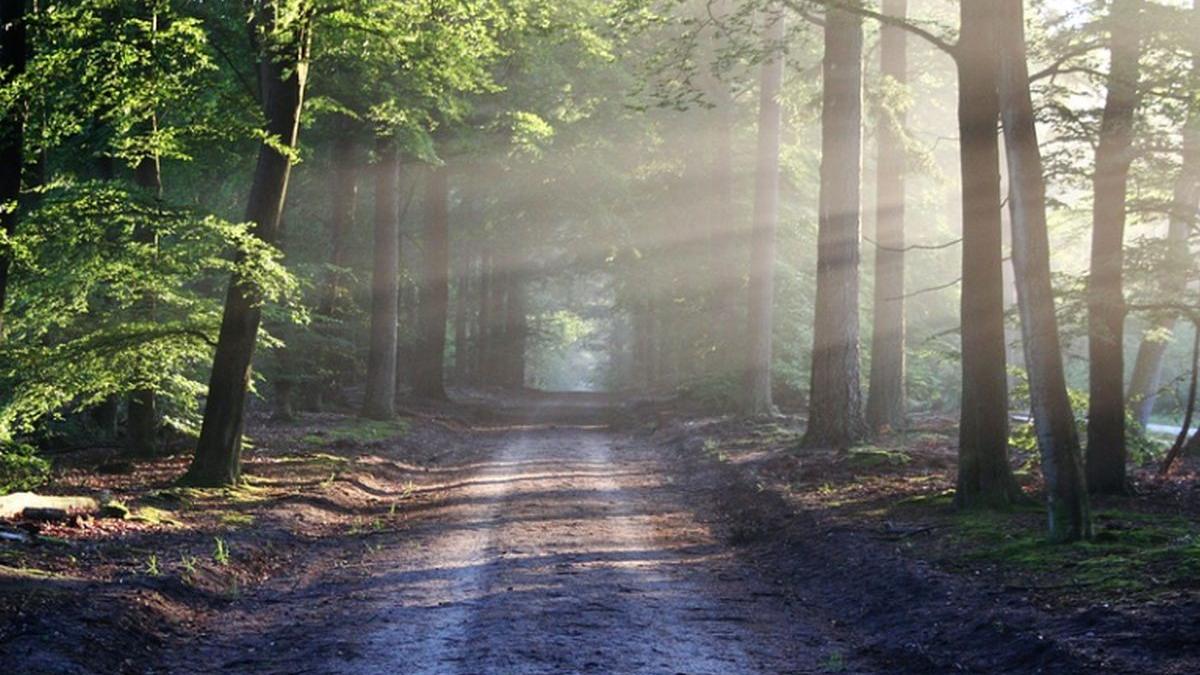 vremea in weekend vesti proaste de la meteorologi