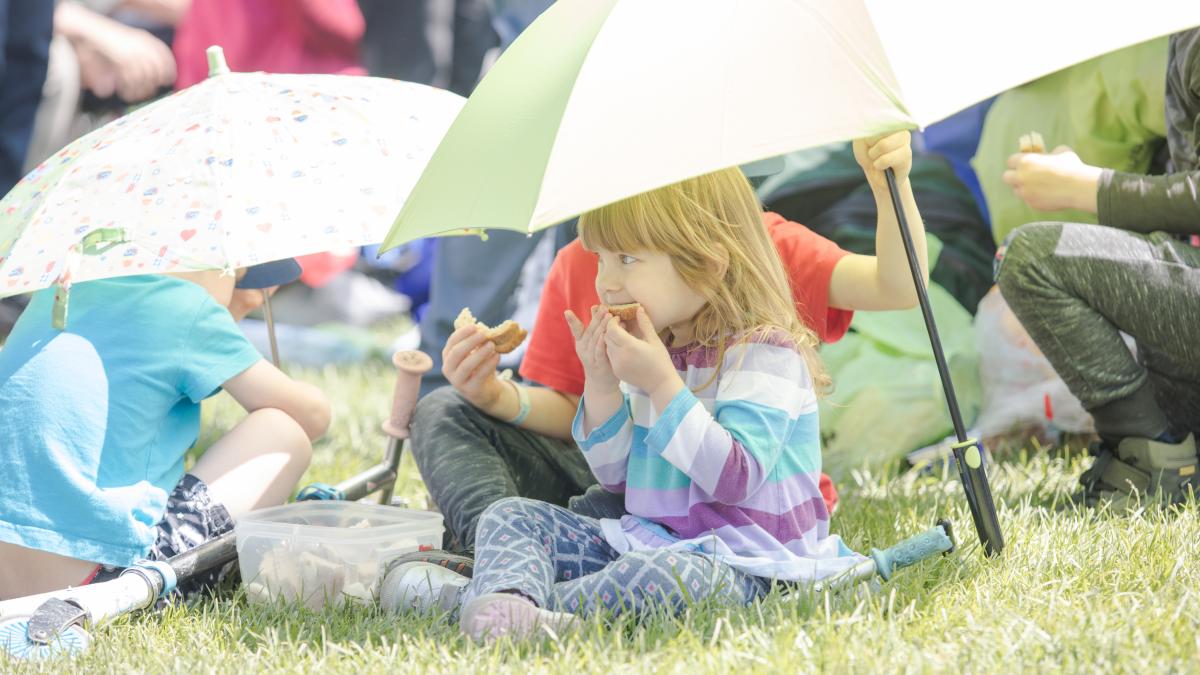 cele mai frumoase imagini de la blaj de la vizita papei francisc galerie foto
