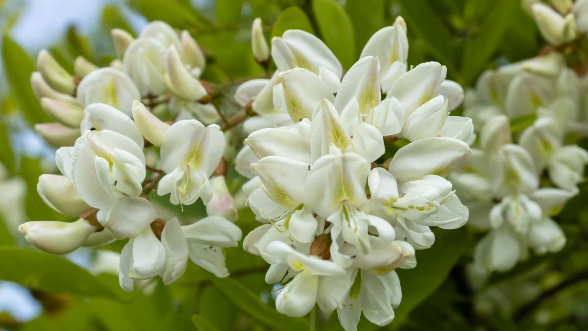 remediu eficient impotriva stresului lucrul banal care te ajuta sa te relaxezi