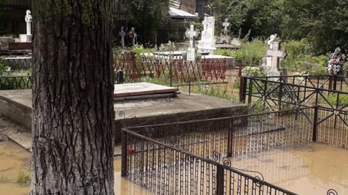 imagini revoltatoare surprinse in giurgiu e incredibil cum arata acest cimitir foto