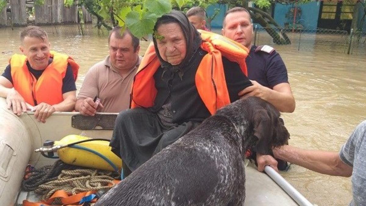 imagini tulburatoare din judetul timis pompierii au salvat din calea apelor si un caine fidel care