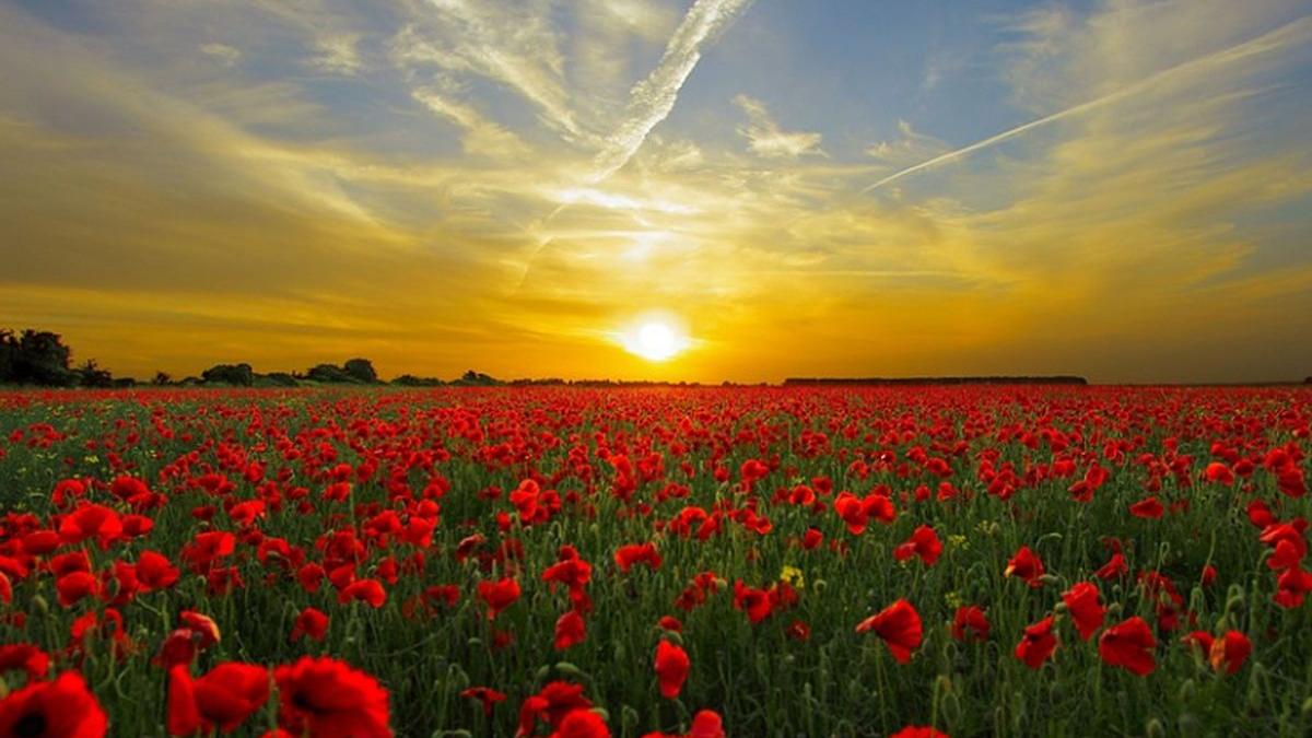 vremea prognoza meteo pentru zilele urmatoare